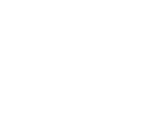 描述