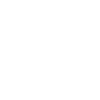 描述